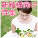 伊丹で賃貸物件をお探しの新婚様向け特集